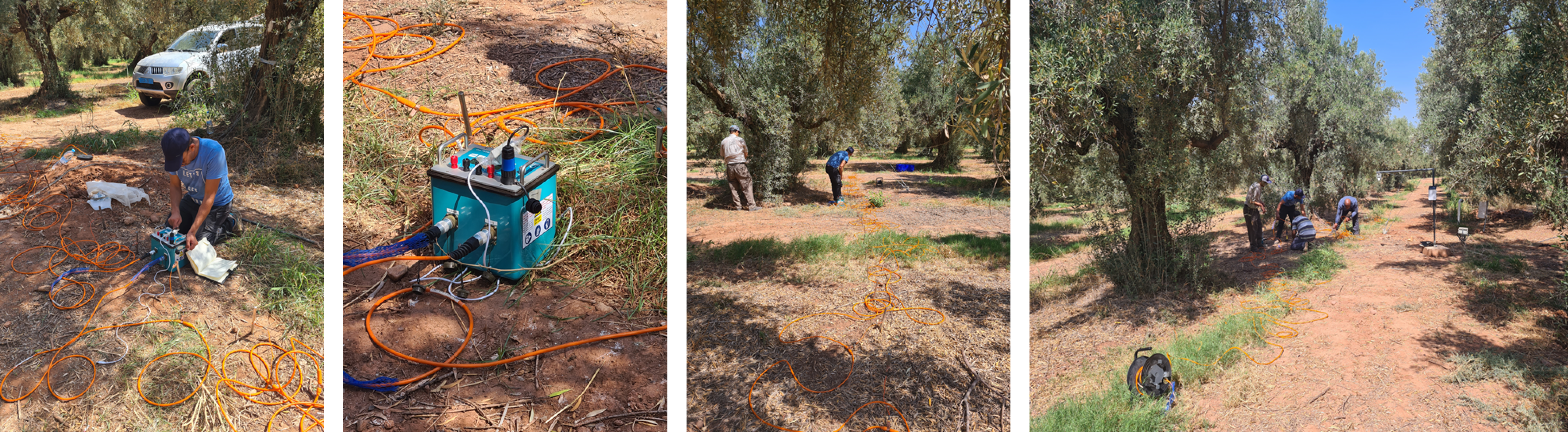 Tomography measurement on olive orchard Agdal site, Marrakech